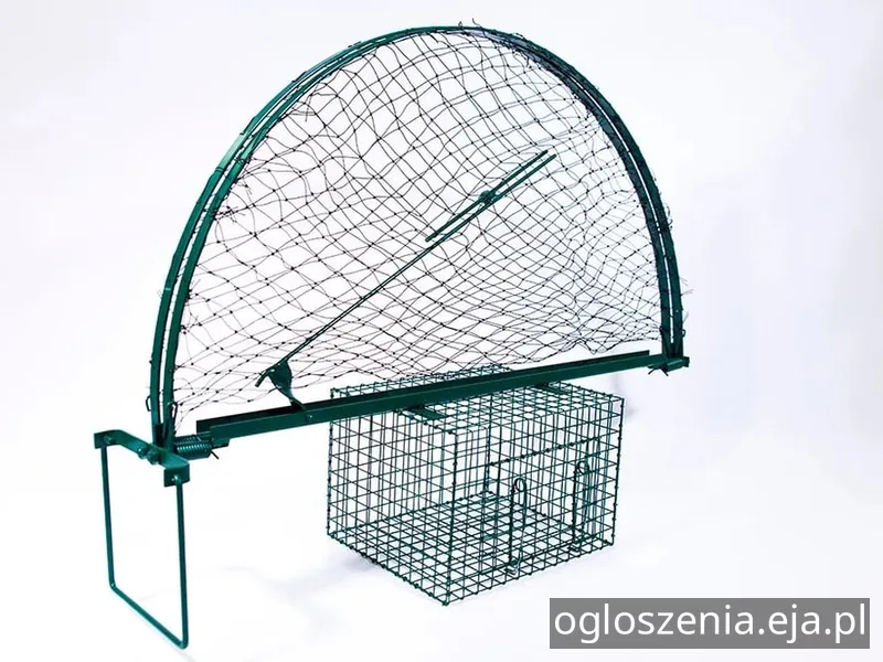 pułapka.webp